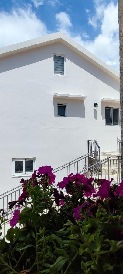 Dika Apartment Bar Εξωτερικό φωτογραφία