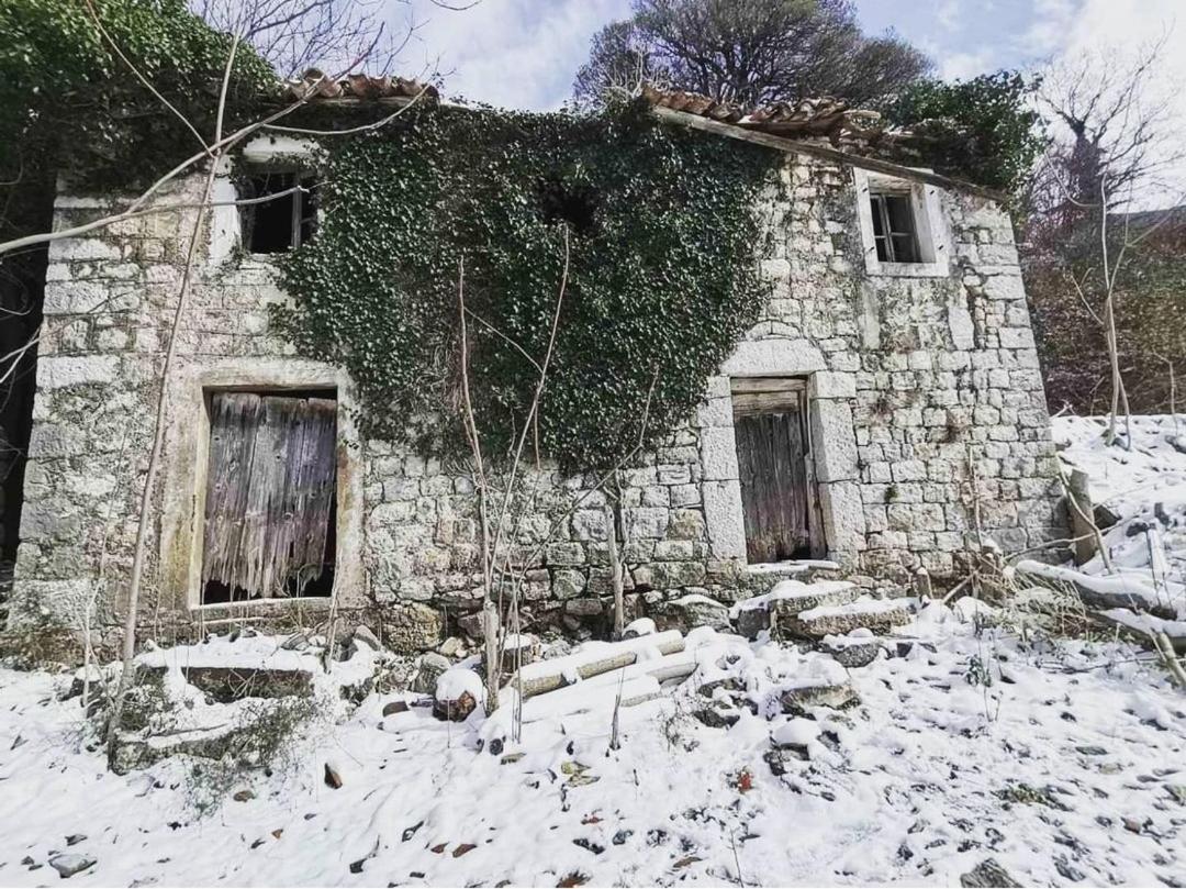 Dika Apartment Bar Εξωτερικό φωτογραφία